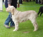 Filename=B-EdwardGRobinson.JPG
Filesize=455KiB
Dimensions=700x602
Date added=Sep 18, 2011 B-EdwardGRobinson.JPG