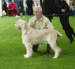 Filename=C-Carlo.JPG
Filesize=409KiB
Dimensions=700x642
Date added=Sep 18, 2011 C-Carlo.JPG
