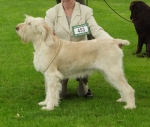 Filename=C-Corinna.jpg
Filesize=424KiB
Dimensions=700x596
Date added=Sep 18, 2011 C-Corinna.jpg