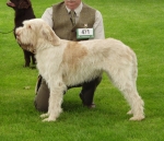 L-Knockdhu.jpg