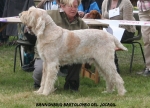 Filename=B-Bartolomeo.jpg
Filesize=116KiB
Dimensions=750x541
Date added=Sep 18, 2011 B-Bartolomeo.jpg