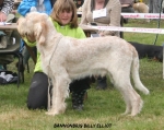 Filename=B-BillyElliot.jpg
Filesize=118KiB
Dimensions=750x595
Date added=Sep 18, 2011 B-BillyElliot.jpg