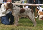 Filename=G-Anteros.jpg
Filesize=116KiB
Dimensions=750x526
Date added=Sep 18, 2011 G-Anteros.jpg