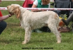 Filename=G-Veloce.jpg
Filesize=118KiB
Dimensions=750x517
Date added=Sep 18, 2011 G-Veloce.jpg