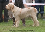 Filename=T-MaudEarl.jpg
Filesize=103KiB
Dimensions=750x527
Date added=Sep 18, 2011 T-MaudEarl.jpg