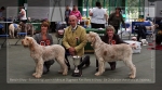 Filename=BestInShow.jpg
Filesize=197KiB
Dimensions=800x443
Date added=Sep 18, 2011 BestInShow.jpg