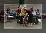 Filename=M-Murdoch.jpg
Filesize=178KiB
Dimensions=800x589
Date added=Sep 18, 2011 M-Murdoch.jpg