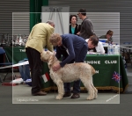 Filename=T-Balena.jpg
Filesize=209KiB
Dimensions=800x706
Date added=Sep 18, 2011 T-Balena.jpg
