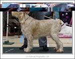 Filename=A-Mughetto.jpg
Filesize=232KiB
Dimensions=891x699
Date added=Feb 23, 2013 A-Mughetto.jpg
