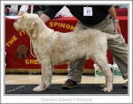 Filename=B-EdwardGRobinson.jpg
Filesize=223KiB
Dimensions=895x699
Date added=Feb 23, 2013 B-EdwardGRobinson.jpg