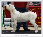 Filename=B-Streyga.jpg
Filesize=217KiB
Dimensions=805x694
Date added=Feb 23, 2013 B-Streyga.jpg