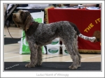 Filename=L-Niamh.jpg
Filesize=235KiB
Dimensions=940x702
Date added=Feb 23, 2013 L-Niamh.jpg