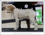 Filename=M-CubaRememberMe.jpg
Filesize=214KiB
Dimensions=899x699
Date added=Feb 23, 2013 M-CubaRememberMe.jpg