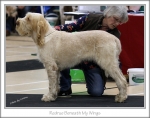 Filename=R-BeneathMyWings.jpg
Filesize=182KiB
Dimensions=886x699
Date added=Feb 23, 2013 R-BeneathMyWings.jpg