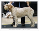 Filename=R-LittleSister.jpg
Filesize=180KiB
Dimensions=882x699
Date added=Feb 23, 2013 R-LittleSister.jpg