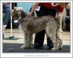 Filename=T-JigsawPuzzle.jpg
Filesize=184KiB
Dimensions=866x698
Date added=Feb 23, 2013 T-JigsawPuzzle.jpg