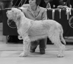 Filename=B-LoveInAMist.jpg
Filesize=259KiB
Dimensions=700x619
Date added=Sep 18, 2011 B-LoveInAMist.jpg