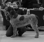 Filename=B-ScissorSister.jpg
Filesize=257KiB
Dimensions=700x667
Date added=Sep 18, 2011 B-ScissorSister.jpg