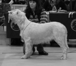 Filename=D-AmazingGrace.jpg
Filesize=254KiB
Dimensions=700x612
Date added=Sep 18, 2011 D-AmazingGrace.jpg