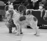 Filename=G-Anteros.jpg
Filesize=275KiB
Dimensions=700x621
Date added=Sep 18, 2011 G-Anteros.jpg