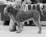 Filename=H-BetteDavisEyes.jpg
Filesize=253KiB
Dimensions=700x570
Date added=Sep 18, 2011 H-BetteDavisEyes.jpg