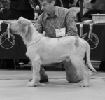 Filename=H-KirRoyale.jpg
Filesize=267KiB
Dimensions=700x670
Date added=Sep 18, 2011 H-KirRoyale.jpg