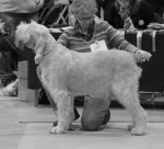 Filename=T-Balena.jpg
Filesize=285KiB
Dimensions=700x639
Date added=Sep 18, 2011 T-Balena.jpg