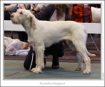Filename=K-Megapixel.jpg
Filesize=217KiB
Dimensions=923x771
Date added=Feb 23, 2013 K-Megapixel.jpg