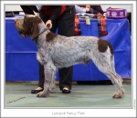 Filename=L-FancyThat.jpg
Filesize=260KiB
Dimensions=924x802
Date added=Feb 23, 2013 L-FancyThat.jpg