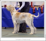 Filename=L-Glenglassaugh.jpg
Filesize=243KiB
Dimensions=924x807
Date added=Feb 23, 2013 L-Glenglassaugh.jpg