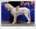 Filename=M-Enzo.jpg
Filesize=222KiB
Dimensions=922x750
Date added=Feb 23, 2013 M-Enzo.jpg