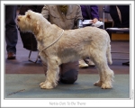 Filename=N-GotToBeThere.jpg
Filesize=233KiB
Dimensions=922x741
Date added=Feb 23, 2013 N-GotToBeThere.jpg