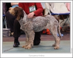 Filename=S-Ambra.jpg
Filesize=214KiB
Dimensions=922x739
Date added=Feb 23, 2013 S-Ambra.jpg