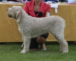 Filename=A-Amelia.jpg
Filesize=372KiB
Dimensions=700x568
Date added=Sep 18, 2011 A-Amelia.jpg