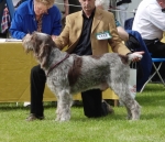 Filename=C-TedBaker.JPG
Filesize=396KiB
Dimensions=700x605
Date added=Sep 18, 2011 C-TedBaker.JPG