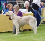 Filename=H-GeorgeGoulet.JPG
Filesize=416KiB
Dimensions=700x635
Date added=Sep 18, 2011 H-GeorgeGoulet.JPG