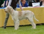L-Glenglassaugh.JPG
