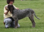 R-Brunella.JPG