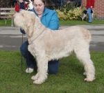 Filename=W-RubyTuesday.JPG
Filesize=530KiB
Dimensions=700x623
Date added=Sep 18, 2011 W-RubyTuesday.JPG