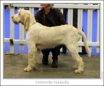 Filename=A-Aldabella.jpg
Filesize=149KiB
Dimensions=977x812
Date added=Sep 18, 2011 A-Aldabella.jpg