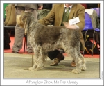 Filename=A-ShowMeTheMoney.jpg
Filesize=163KiB
Dimensions=977x812
Date added=Sep 18, 2011 A-ShowMeTheMoney.jpg