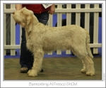 Filename=B-AlFresco.jpg
Filesize=163KiB
Dimensions=977x812
Date added=Sep 18, 2011 B-AlFresco.jpg