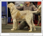 Filename=B-Bartolomeo.jpg
Filesize=157KiB
Dimensions=977x812
Date added=Sep 18, 2011 B-Bartolomeo.jpg