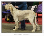 Filename=B-BillyElliot.jpg
Filesize=140KiB
Dimensions=977x812
Date added=Sep 18, 2011 B-BillyElliot.jpg