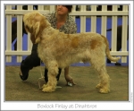 Filename=B-Finlay.jpg
Filesize=148KiB
Dimensions=977x812
Date added=Sep 18, 2011 B-Finlay.jpg