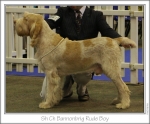 Filename=B-RudeBoy.jpg
Filesize=141KiB
Dimensions=977x812
Date added=Sep 18, 2011 B-RudeBoy.jpg