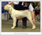 Filename=B-Streyga.jpg
Filesize=159KiB
Dimensions=977x812
Date added=Sep 18, 2011 B-Streyga.jpg