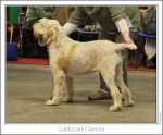 Filename=C-Claricia.jpg
Filesize=153KiB
Dimensions=977x812
Date added=Sep 18, 2011 C-Claricia.jpg