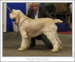 Filename=F-RoccaChe.jpg
Filesize=134KiB
Dimensions=977x812
Date added=Sep 18, 2011 F-RoccaChe.jpg