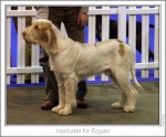 Filename=H-KirRoyale.jpg
Filesize=162KiB
Dimensions=977x812
Date added=Sep 18, 2011 H-KirRoyale.jpg